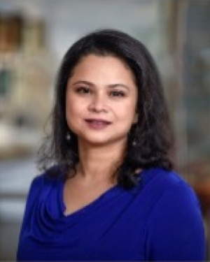 Shalaka Kotkar, PhD, MPH, CPH, CBSP(ABSA)
