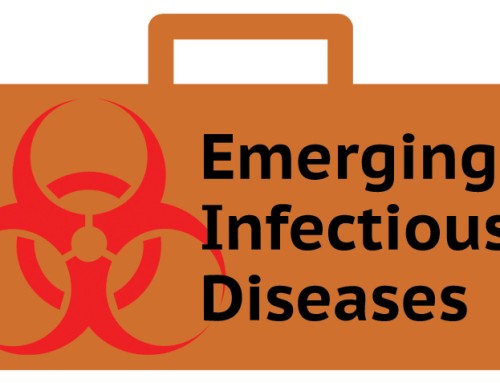 Hantavirus (2026 Multi‑Country Outbreak)