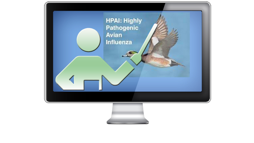 06. Working with Highly Pathogenic Avian Influenza Virus (HPAIV)