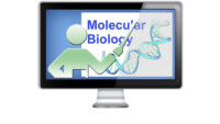 06. Molecular Biology 101