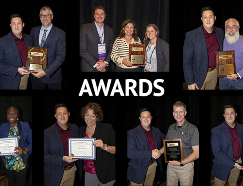 2024 Award Recipients: Honor Awards, Recognition Awards, Promotional Awards Winners