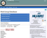 Risk Group Database
